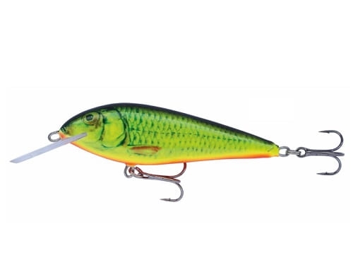 Wobler Kenart Troll 10 NRX.jpg