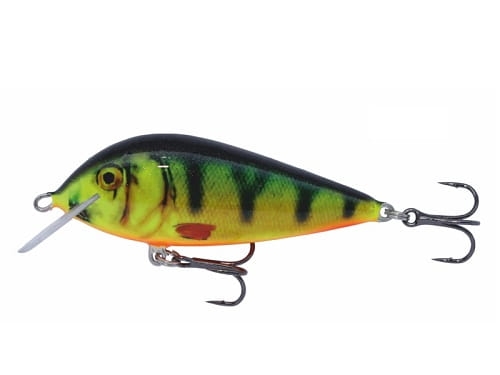 Wobler Kenart Bass NPX.jpg