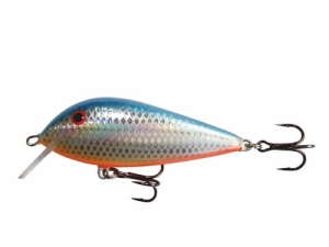 Wobler Kenart Bass 7 HBO