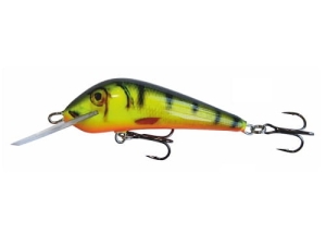 Wobler Kenart Dynamic 7 NPX