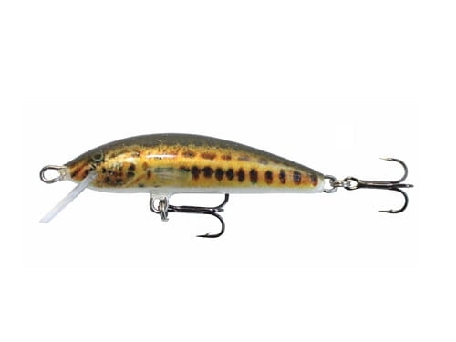 Wobler Kenart Spike 5 S.jpg