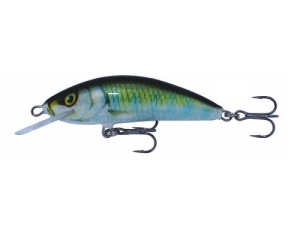 Wobler Kenart Winner 5 GG