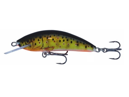 Wobler Kenart Winner T.jpg