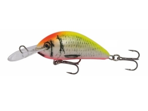 Wobler Kenart Shark 5 YR