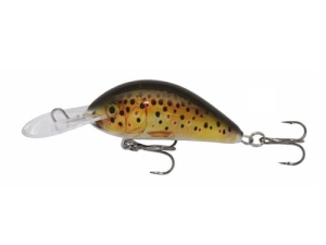 Wobler Kenart Shark 5 T