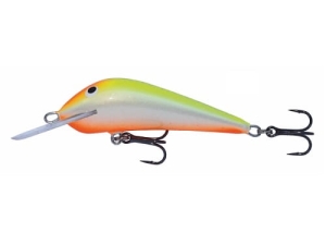 Wobler Kenart Dynamic 5 YR