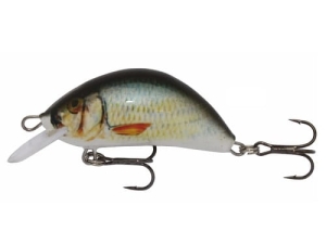 Wobler Kenart Hunter 5 NRG