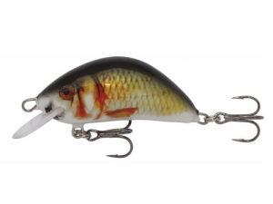 Wobler Kenart Hunter 2 NG