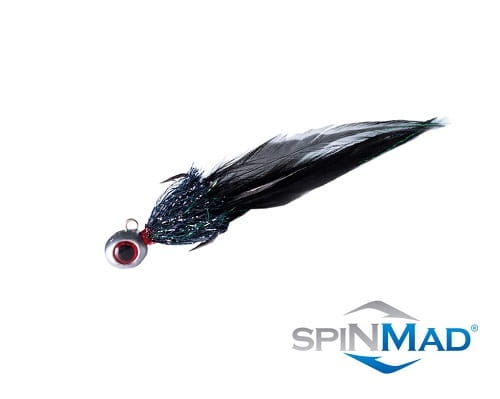 Spinmad Kogut 12.jpg