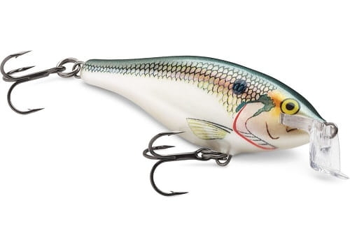 RAPALA SHALLOW SHAD RAP SD.jpg