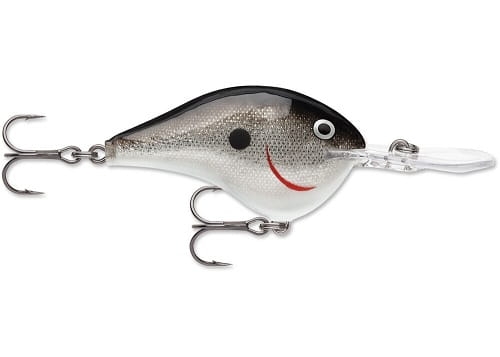 RAPALA DT Dives-To Series DT06 S.jpg