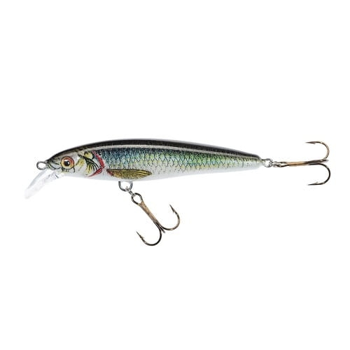 Jaxon Wobler Alba Twitch 7,5cm SU R.jpg