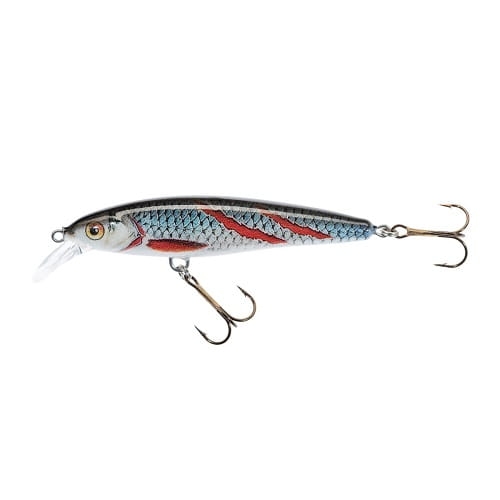 Jaxon Wobler Alba Twitch 7,5cm SU KSN.jpg