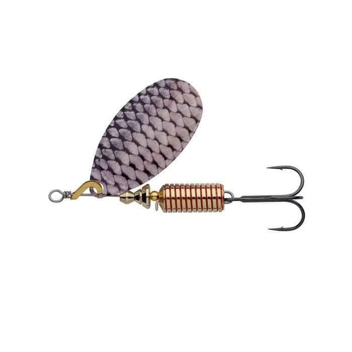 Roach.jpg