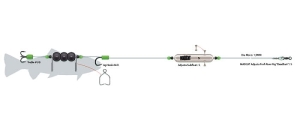 MADCAT System Sumowy ADjusta Dead Bait S/20g