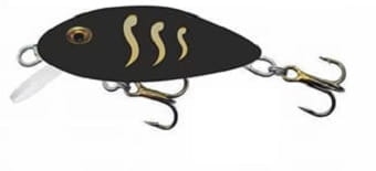 Bielik Garbusek  Kol.BL S.jpg