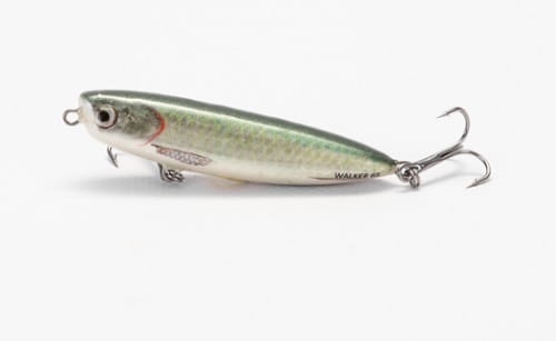 Hunter Walker  Kol.Oliv S.jpg