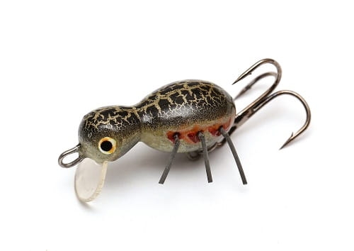 Hunter Tekla  Kol.B FL.jpg