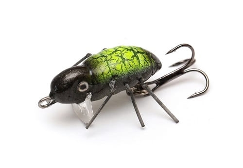 Hunter Osa  Kol.D FL.jpg