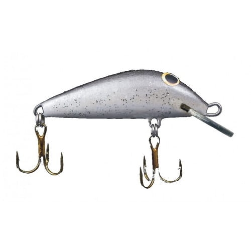 Hunter Champion AL.jpg