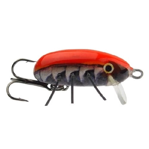 HUNTER INSECT OR.jpg