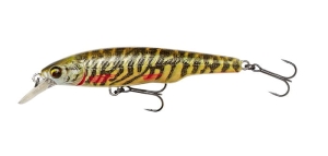 Savage Gear Gravity Twitch SR11,5cm 25g Pike FL