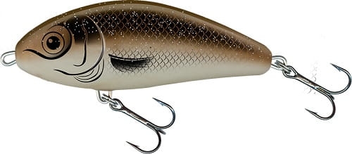 Salmo Fatso Arkansas.jpg