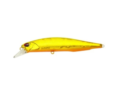 Duo Realis Jerkbait 100SP D63.jpg