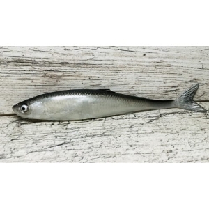 Guma SEWRO Ukleja 16cm Czarna Naturlany Ogon