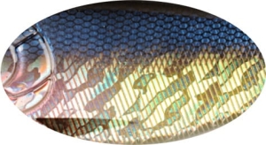 BUSTER SWIMBAIT 13cm 65g C545V