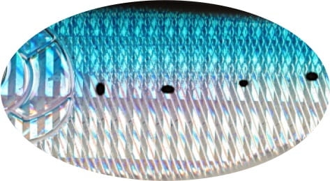 BUSTER SWIMBAIT 13cm 65g C539.jpg
