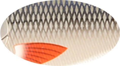 Strike Pro Buster Swimbait S 13cm 65G C384F.jpg