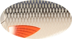 BUSTER V 8.5cm 17.7g C384F Sinking