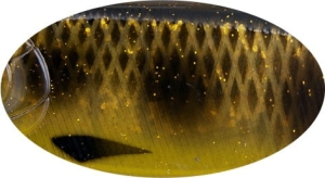 BUSTER V 8.5cm 17.7g C713G Sinking