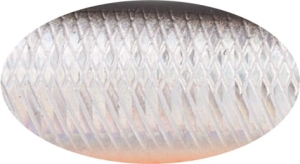 BUSTER V 8.5cm 17.7g A70-713 Sinking