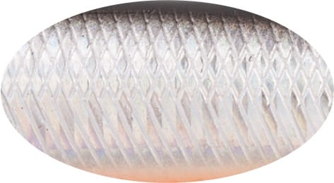 BUSTER V 8.5cm 17.7g A70-713 Sinking.jpg