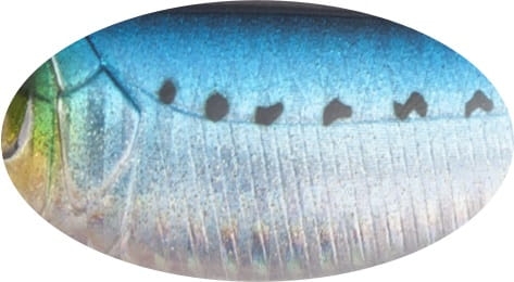 BABY BUSTER 10cm 25g Sinking 694-713.jpg
