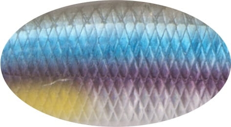 BABY BUSTER 10cm 25g Slow Sinking A210-SBO.jpg