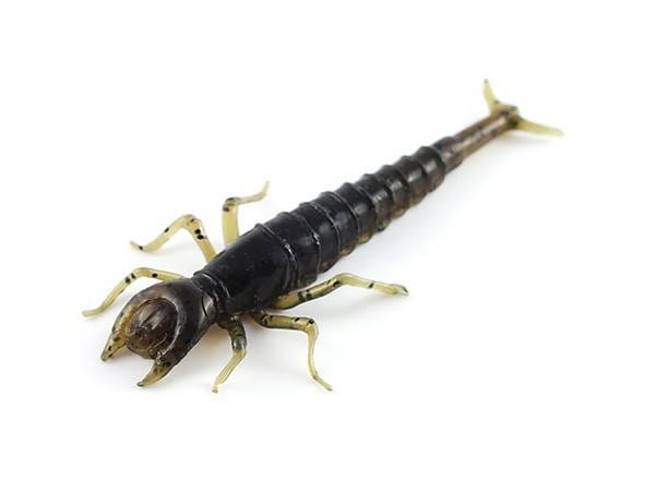 FishUp_Diving_Bug_50mm_043_watermelon_brown_black