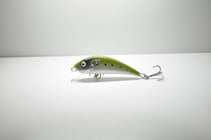 Wobler RCB Twitchy 5.5 5G #T025 FL