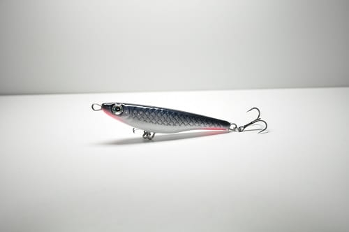 Tasty fish 6,5 TPW #Z004.JPG