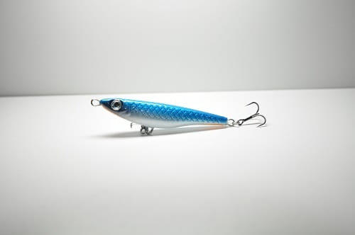 Tasty fish 6,5 TPW#Z003.JPG