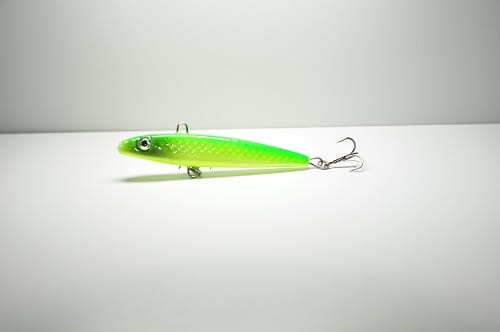 Slim minnow 7 #Z014.JPG
