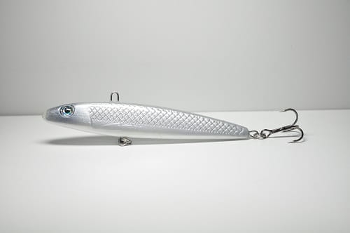 Slim minnow 10 #Z008.JPG