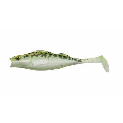 Pulse Realistic Perch At Bass.jpg
