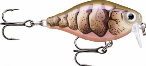 Rapala X-Light Crank Shallow Runner 3,5cm PUPU