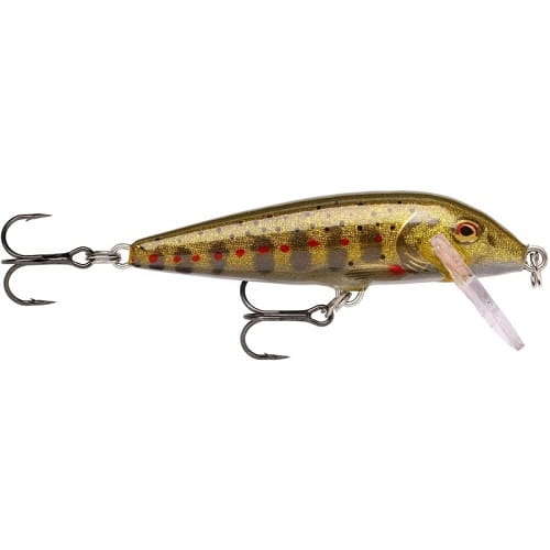 RAPALA Countdown 3cm CD03 GJTR.jpg