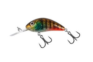 SALMO RATTLIN' HORNET 6,5cm 20g Clear Hot Gill FL