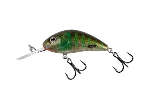 SALMO RATTLIN' HORNET 4,5cm 6g Clear Green Gill FL.jpg
