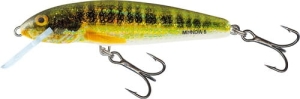 Salmo Minnow 6cm 6g Holo Real Minnow S